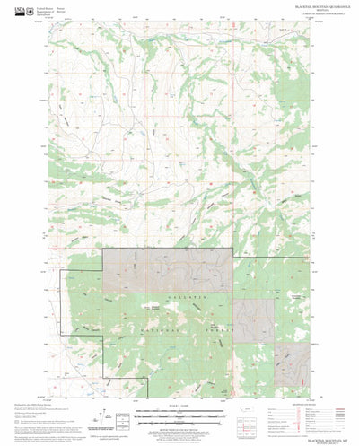US Forest Service - Topo Blacktail Mountain, MT FSTopo Legacy digital map