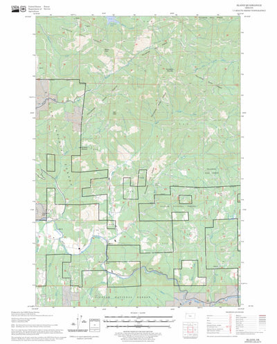 US Forest Service - Topo Blaine, OR FSTopo Legacy digital map