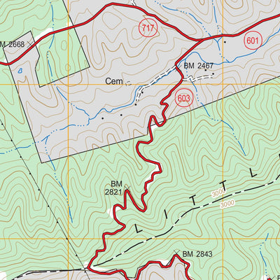 US Forest Service - Topo Bland, VA FSTopo Legacy digital map