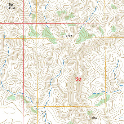 US Forest Service - Topo Bloom Creek, MT FSTopo Legacy digital map