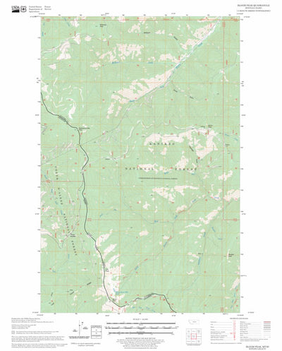US Forest Service - Topo Bloom Peak, MT - ID FSTopo Legacy digital map