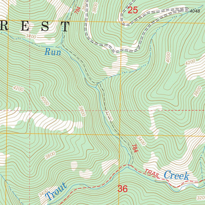 US Forest Service - Topo Bloom Peak, MT - ID FSTopo Legacy digital map