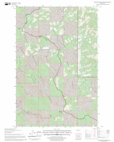 US Forest Service - Topo Blowout Mountain, WA FSTopo Legacy digital map