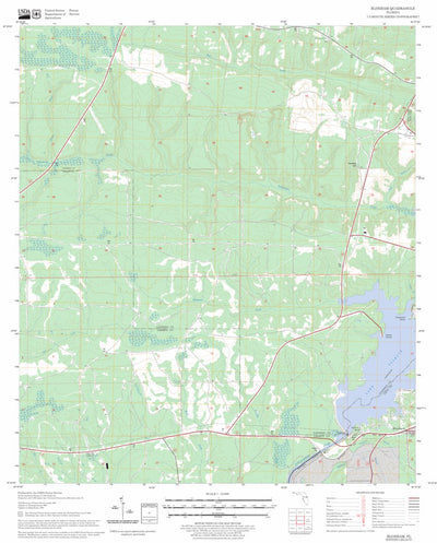 US Forest Service - Topo Bloxham, FL FSTopo Legacy digital map