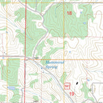 US Forest Service - Topo Blue Eye, AR - MO FSTopo Legacy digital map