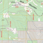 US Forest Service - Topo Blue Mountain, MT FSTopo Legacy digital map