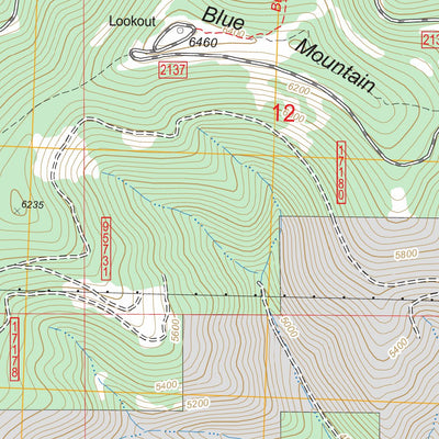 US Forest Service - Topo Blue Mountain, MT FSTopo Legacy digital map
