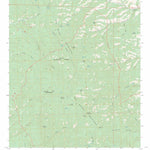 US Forest Service - Topo Blue Mountain, NM FSTopo Legacy digital map