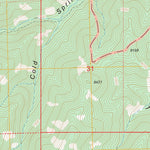 US Forest Service - Topo Blue Mountain, NM FSTopo Legacy digital map