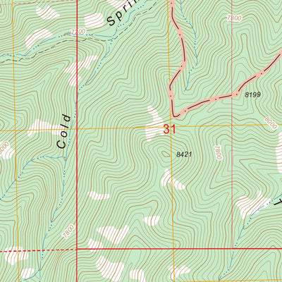 US Forest Service - Topo Blue Mountain, NM FSTopo Legacy digital map