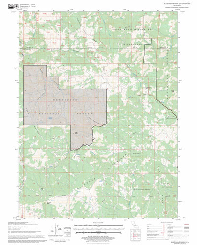 US Forest Service - Topo Bluenose Ridge, CA FSTopo Legacy digital map