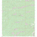 US Forest Service - Topo Bluff Springs, NM FSTopo Legacy digital map