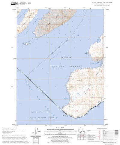 US Forest Service - Topo Blying Sound D-3, AK FSTopo Legacy digital map