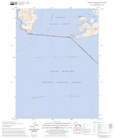 US Forest Service - Topo Blying Sound D-4, AK FSTopo Legacy digital map