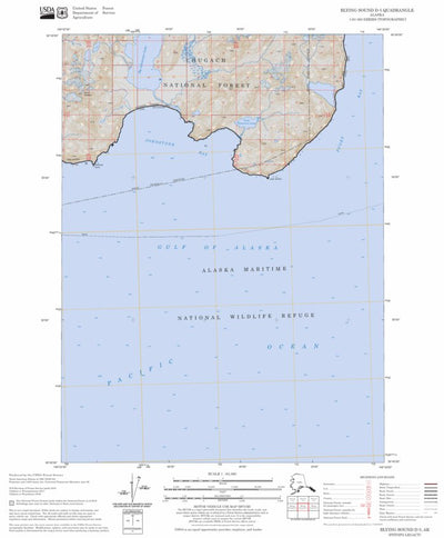 US Forest Service - Topo Blying Sound D-5, AK FSTopo Legacy digital map