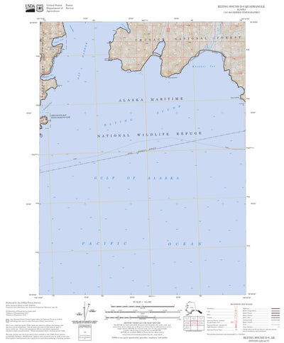 US Forest Service - Topo Blying Sound D-6, AK FSTopo Legacy digital map