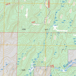US Forest Service - Topo Bogberry Lake, MN FSTopo Legacy digital map
