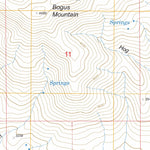 US Forest Service - Topo Bogus Mountain, CA FSTopo Legacy digital map
