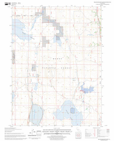 US Forest Service - Topo Boles Meadow East, CA FSTopo Legacy digital map