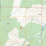 US Forest Service - Topo Bone Mountain, OR FSTopo Legacy digital map