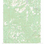 US Forest Service - Topo Bonita Meadows, CA FSTopo Legacy digital map