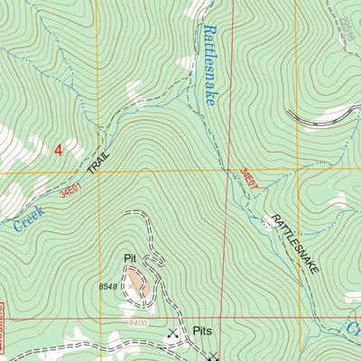US Forest Service - Topo Bonita Meadows, CA FSTopo Legacy digital map