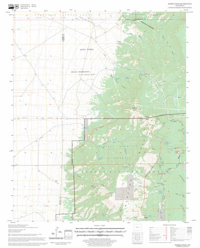 US Forest Service - Topo Bosque Peak, NM FSTopo Legacy digital map