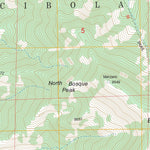 US Forest Service - Topo Bosque Peak, NM FSTopo Legacy digital map