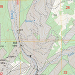 US Forest Service - Topo Bourne, OR FSTopo Legacy digital map