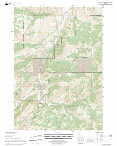 US Forest Service - Topo Bowery Creek, ID FSTopo Legacy digital map