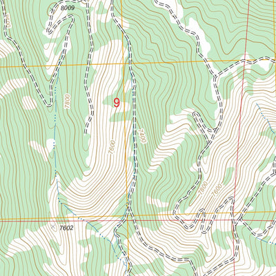 US Forest Service - Topo Bowie, CO FSTopo Legacy digital map