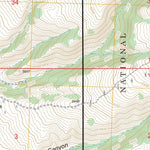 US Forest Service - Topo Bowler, MT FSTopo Legacy digital map