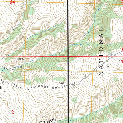US Forest Service - Topo Bowler, MT FSTopo Legacy digital map