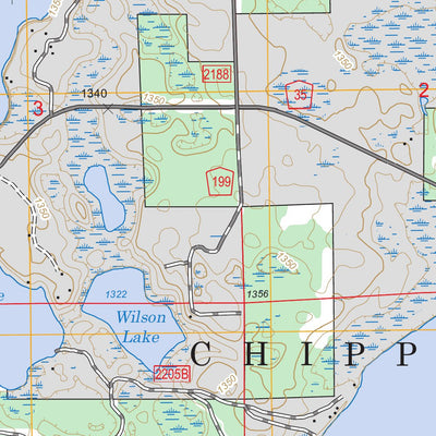 US Forest Service - Topo Bowstring Lake, MN FSTopo Legacy digital map