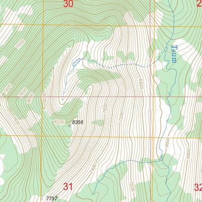 US Forest Service - Topo Box Lake, ID FSTopo Legacy digital map