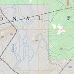 US Forest Service - Topo Boykin Spring, TX FSTopo Legacy digital map