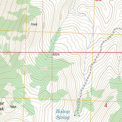 US Forest Service - Topo Bradbury Flat, ID FSTopo Legacy digital map