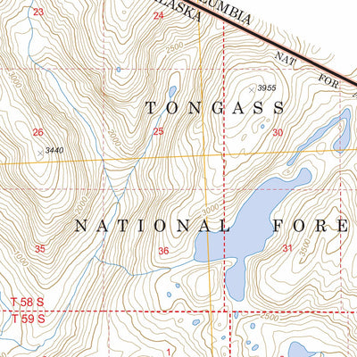 US Forest Service - Topo Bradfield Canal D-6, AK FSTopo Legacy digital map