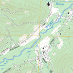 US Forest Service - Topo Bradford, PA - NY FSTopo Legacy digital map