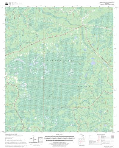 US Forest Service - Topo Bradwell Bay, FL FSTopo Legacy digital map