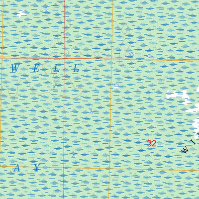 US Forest Service - Topo Bradwell Bay, FL FSTopo Legacy digital map