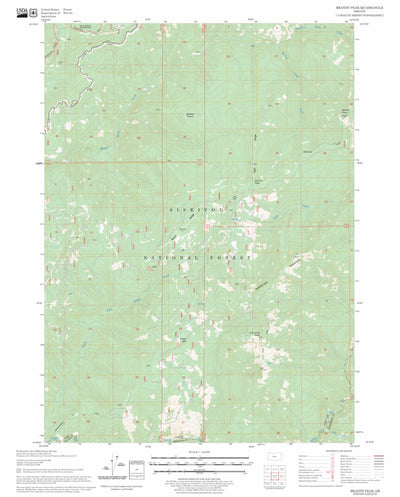 US Forest Service - Topo Brandy Peak, OR FSTopo Legacy digital map