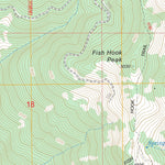 US Forest Service - Topo Brandy Peak, OR FSTopo Legacy digital map