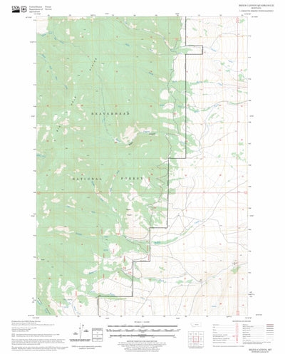 US Forest Service - Topo Brays Canyon, MT FSTopo Legacy digital map