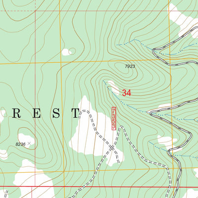 US Forest Service - Topo Brays Canyon, MT FSTopo Legacy digital map