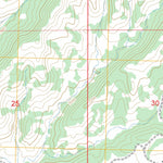 US Forest Service - Topo Bread Springs, NM FSTopo Legacy digital map