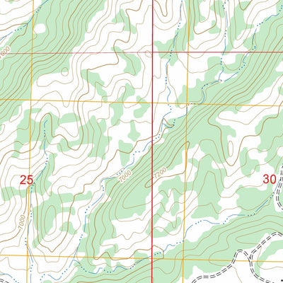 US Forest Service - Topo Bread Springs, NM FSTopo Legacy digital map