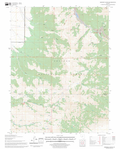 US Forest Service - Topo Brewer Canyon, NV FSTopo Legacy digital map