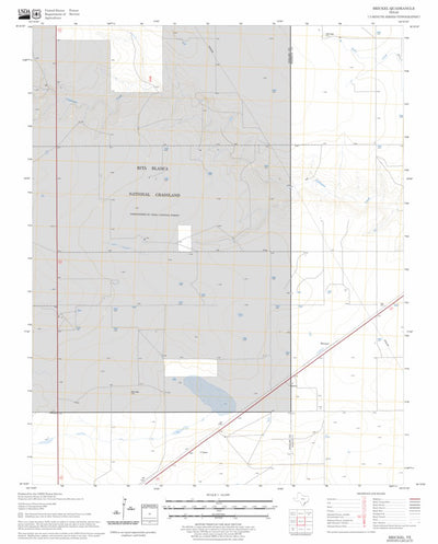 US Forest Service - Topo Brickel, TX FSTopo Legacy digital map