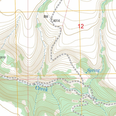 US Forest Service - Topo Bridge Creek, OR FSTopo Legacy digital map